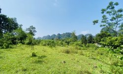 BÁN GẤP SIÊU PHẨM NGHỈ DƯỠNG CÓ DT 3,1ha (2000m2 ONT) VIEW ĐẸP ĐẤT BẰNG PHẲNG NHƯ SÂN BAY