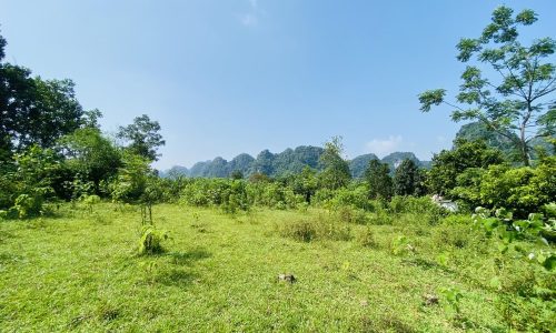 BÁN GẤP SIÊU PHẨM NGHỈ DƯỠNG CÓ DT 3,1ha (2000m2 ONT) VIEW ĐẸP ĐẤT BẰNG PHẲNG NHƯ SÂN BAY