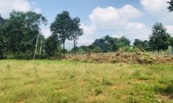 BÁN GẤP LÔ ĐẤT CÓ DT 800m2 (400m2 ONT) CÁCH ĐƯỜNG HCM CÓ 3KM GIÁ CHỈ NHỈNH 1 TỶ