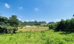 SIÊU PHẨM VIEW TRIỆU ĐÔ NHÌN RA CÁNH ĐỒNG VÀ NÚI ĐÁ CÓ DT 5ha GIA CHỦ TẶNG THÊM VƯỜN KEO