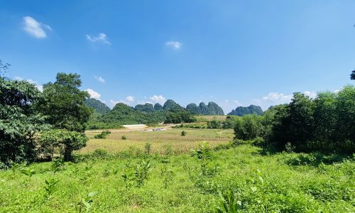 SIÊU PHẨM VIEW TRIỆU ĐÔ NHÌN RA CÁNH ĐỒNG VÀ NÚI ĐÁ CÓ DT 5ha GIA CHỦ TẶNG THÊM VƯỜN KEO