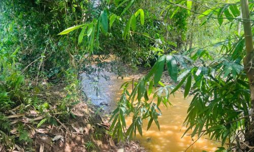 BÁN GẤP LÔ ĐẤT BÁM SUỐI CÓ DT 1600m2 FULL THỔ CƯ GIÁ RẺ BẤT NGỞ CHỈ 1,xtr/m2 Ở LƯƠNG SƠN