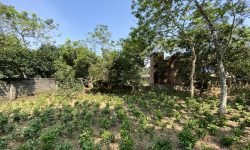 BÁN GẤP LÔ ĐẤT VIEW CÁNH ĐỒNG VÀ NÚI ĐÁ CỰC ĐẸP CÓ DT 350m2 (100m2 ONT) GIÁ VÀI TRĂM TRIỆU