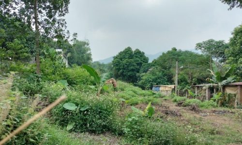 Bán Gấp Lô Đất 1442m2 Có 101m2 Thổ Cư