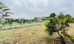 có mỗi lô đất đẹp tại nhuận trạch quý anh chị nhà đầu tư nào thiện trí liên hệ ạ