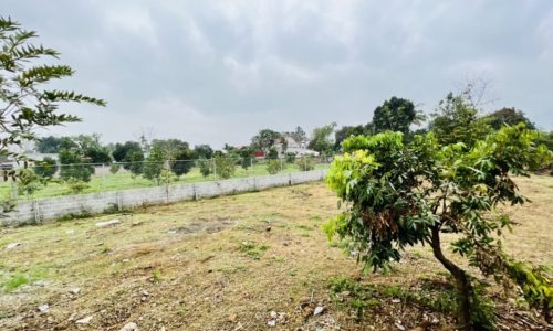 có mỗi lô đất đẹp tại nhuận trạch quý anh chị nhà đầu tư nào thiện trí liên hệ ạ