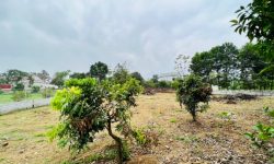 Cắt lỗ 1142m2 tại nhuận trạch – lương sơn – hoà bình