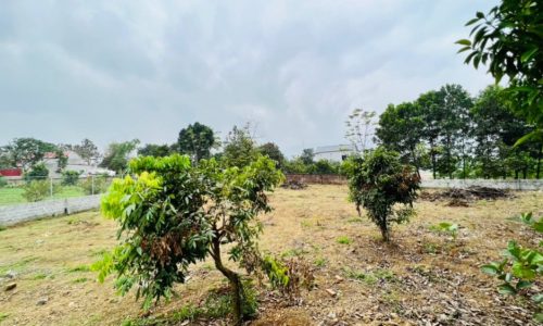 Cắt lỗ 1142m2 tại nhuận trạch – lương sơn – hoà bình