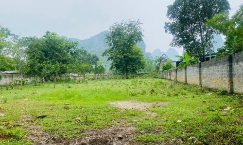 Bán gấp 635m2 giá cắt lỗ tại lương sơn- hoà bình