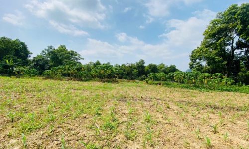 Cần bán gấp 2343m2 tại cao dương- lương sơn- hoà bình