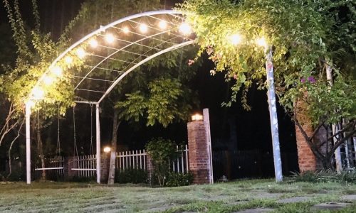 Bán nhanh lô đất có sẵn khuôn viên như hình tổng diện tích 1000m2 trong đó có 100m thổ cư còn lại là cây lâu năm