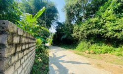 ???Chỉ vài trăm triệu Sở hữu ngay lô đất  diện tích 800m2 trong đó có 100 thổ cư