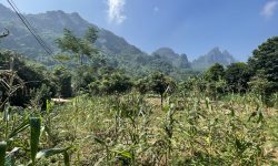 Chủ Ngột Nợ Ngân Hàng Cần Bán Cắt Lỗ Lô Đất View Cực Đẹp