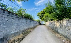 cần bạn tổng diện tích 1453,2m trong đó có 400 thổ cư