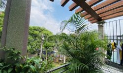 hàng xóm nhờ bán lô đất tại thị trấn lương sơn