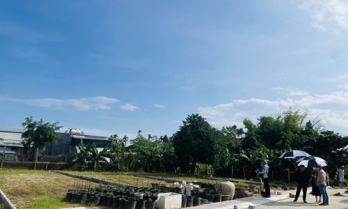 Lô đất biệt thự ngay Trung Tâm Hành Chính Huyện –Đường 5m5 – Sổ sẵn.