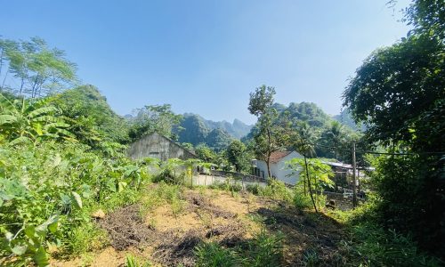 BÁN GẤP LÔ ĐẤT CÓ DT 800m2 (100m2 ONT) CÁCH ĐƯỜNG HCM CÓ 50m GIÁ CHỈ 8xxTR Ở LƯƠNG SƠN