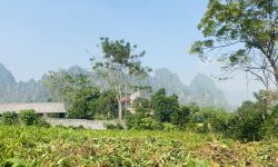 BÁN GẤP LÔ ĐẤT CÓ VIEW CỰC ĐẸP SẴN NHÀ CÓ DIỆN TÍCH 2332m2 (400m2 ONT) GIÁ CỰC RẺ