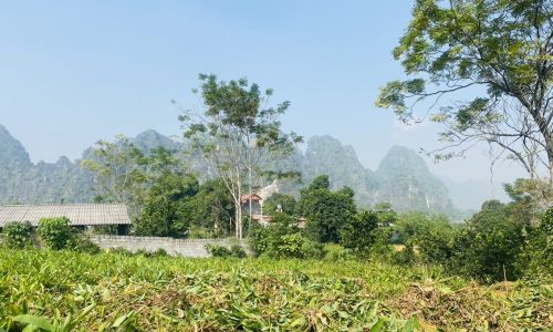 BÁN GẤP LÔ ĐẤT CÓ VIEW CỰC ĐẸP SẴN NHÀ CÓ DIỆN TÍCH 2332m2 (400m2 ONT) GIÁ CỰC RẺ