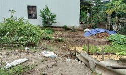 BÁN GẤP LÔ ĐẤT Ở THỊ TRẤN LƯƠNG SƠN CÓ DT 90m2 FULL ODT GIÁ CHỈ 1,x TỶ