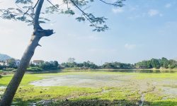 BÁN GẤP LÔ ĐẤT CÓ DT 636m2 (300m2 ONT) SẴN NHÀ Ở VIEW NHÌN BAO TRỌN RA HỒ CỰC ĐẸP