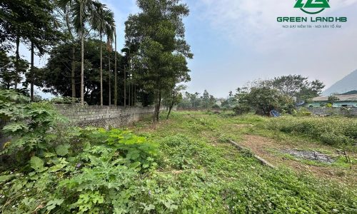 BÁN GẤP LÔ ĐẤT CÓ DT 533m2 Ở XÓM LỘC MÔN GIÁ CHỈ 1,x TỶ CÁCH ĐƯỜNG HCM CÓ 100m