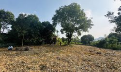 BÁN GẤP LÔ ĐẤT VIEW NÚI ĐẤ TRIỆU ĐÔ Ở LƯƠNG SƠN CÓ DT 3795m2 (200m2 ONT) GIÁ CHỈ 1tr/m2