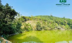 SIÊU PHẨM BÁM HỒ CỰC ĐẸP CÓ DIỆN TÍCH 1548m2 ( 400m2 ONT) BÁM HỒ HƠN 40m GIÁ ĐẦU TƯ