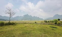 Chỉ cách Hà Nội 55km, a/c sẽ sở hữu ngay thửa đất gần 3000m2 trong đó có 800m2 thổ cư.