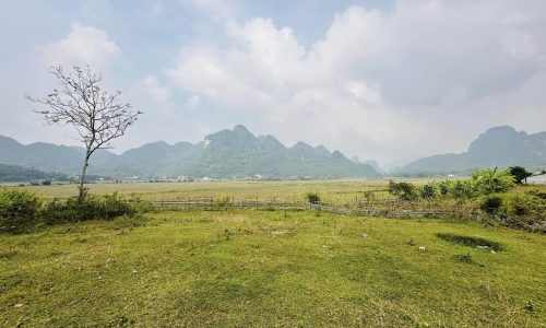 Chỉ cách Hà Nội 55km, a/c sẽ sở hữu ngay thửa đất gần 3000m2 trong đó có 800m2 thổ cư.