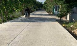 3 Lô liền kề, đường 9m5, gần chợ. giá chỉ 750 triêu