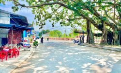 Đường QH 10m5, 105m2, tiện ích xung quanh, sẵn sổ. Giá chỉ 6xx