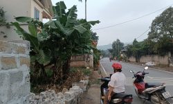 Cần bán gấp lô đất tại tk 4 TT chi nê lạc thuỷ. Diện tích 573,3m .