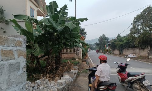 Cần bán gấp lô đất tại tk 4 TT chi nê lạc thuỷ. Diện tích 573,3m .