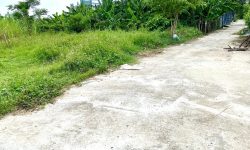 Lô đất 90m2 ngay khu chợ sầm uất đường bê tông 5m – Cách đường nhựa 30m -Hổ trợ vay 3 bên.