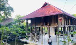 BÁN GẤP SIÊU PHẨM NHÀ VƯỜN CÓ DT 1HA SẴN KHUÔN VIÊN VƯỜN, NHÀ SÀN VÀ AO CÁ CỰC ĐẸP