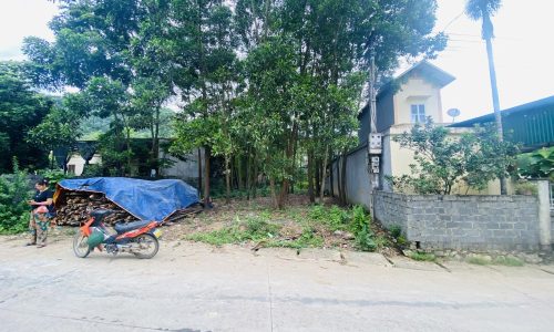 Bán gấp lô đất có diện tích 360m2 ( thực tế gần 500m2) trong đó có 100m2 thổ cư