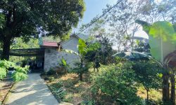 Cần bán lô đất có vị trí đẹp. Trong đất đã có sẵn nhà cấp 4 mới diện tích 595,6m2 trong đó có 400m2 thổ cư còn lại là đất trồng cây lâu năm