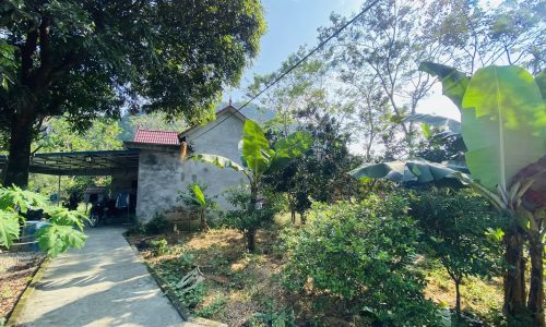 Cần bán lô đất có vị trí đẹp. Trong đất đã có sẵn nhà cấp 4 mới diện tích 595,6m2 trong đó có 400m2 thổ cư còn lại là đất trồng cây lâu năm