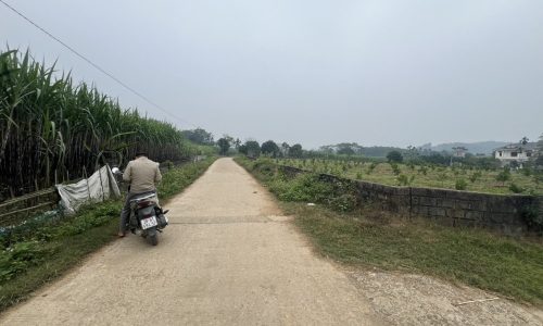 Chủ cần tiền bán gấp lô đất có diện tích 1000m2 tại kim bôi