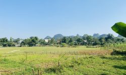 BÁN GẤP LÔ ĐẤT CÓ DT 1390m2 FULL THỔ CƯ VIEW CÁNH ĐỒNG TRIỆU ĐÔ GIÁ CHỈ 1,x TỶ