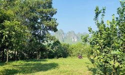 Bán gấp lô đất có diện tích 1390,7m2 full thổ cư