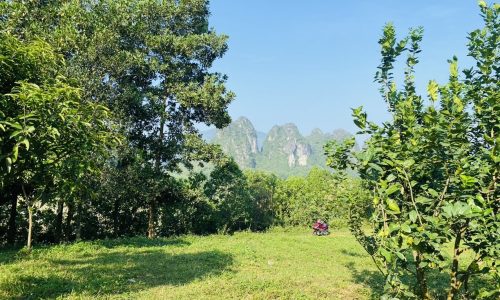 Bán gấp lô đất có diện tích 1390,7m2 full thổ cư