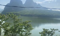 siêu phẩm bám hồ có diện tích 3,1ha trong đó có 1000m2 thổ cư 8000m2 rừng sản xuất,