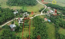 BÁN GẤP LÔ ĐẤT CÓ DIỆN TÍCH 1653m2 FULL THỔ CƯ SẴN VƯỜN CÂY ĂN TRÁI VIEW VÀ LƯNG TỰA NÚI