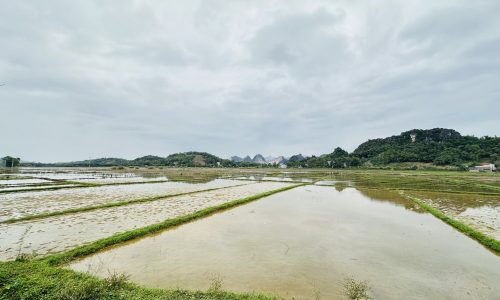 BÁN GẤP LÔ ĐẤT CÓ DIỆN TÍCH 1653m2 FULL THỔ CƯ SẴN VƯỜN CÂY ĂN TRÁI VIEW VÀ LƯNG TỰA NÚI