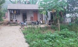 BÁN GẤP LÔ ĐẤT CÓ DIỆN TÍCH 620m2 FULL THỔ CƯ SẴN NHÀ VÀ KHUÔN VIÊN GIÁ CHỈ VÀI TRĂM TRIỆU