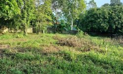 Bán gấp lô đất có diện tích 2153,2m2 trong đó có 400m2 thổ cư còn lại là đất vườn –