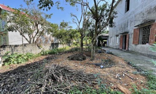 Chỉ cách Hà Nội 38km lô đất có diện tích 180m2 trong đó có 50m2 thổ cư