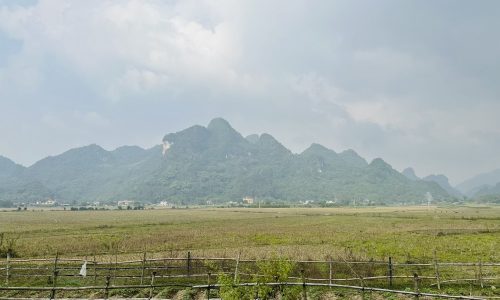 BÁN GẤP LÔ ĐẤT CÓ DT GẦN 3000m2 VIEW TRIỆU ĐÔ CÁNH ĐỒNG VÀ NÚI ĐÁ CHỈ VÀI TRĂM NGHÌN/m2